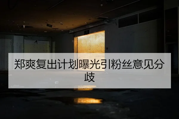 郑爽复出计划曝光引粉丝意见分歧